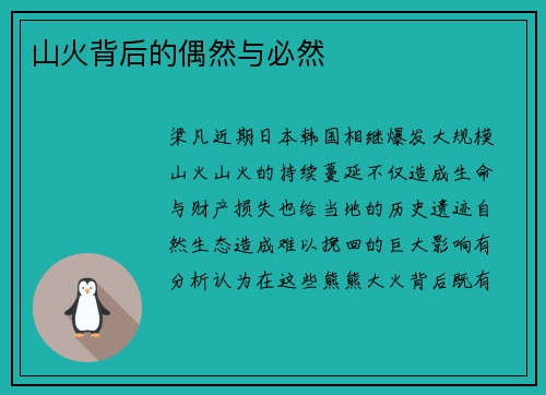 山火背后的偶然与必然